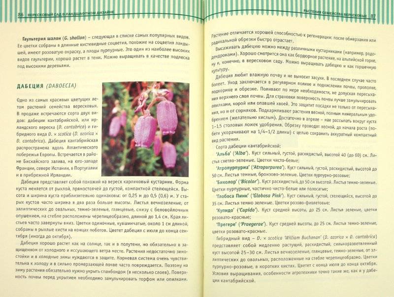 Энциклопедия комнатных растений. композиции из растений (н. и. логачева)