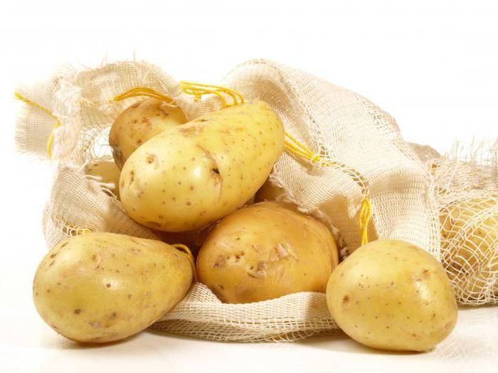 Картофель зекура: описание и характеристика сорта, отзывы