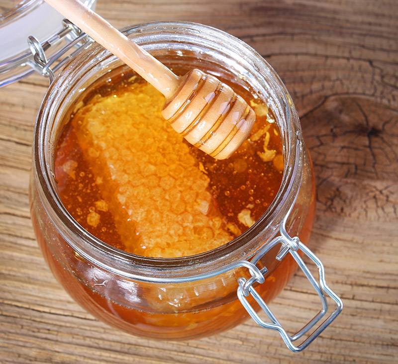 Как правильно хранить свежий мед чтобы он оставался полезным