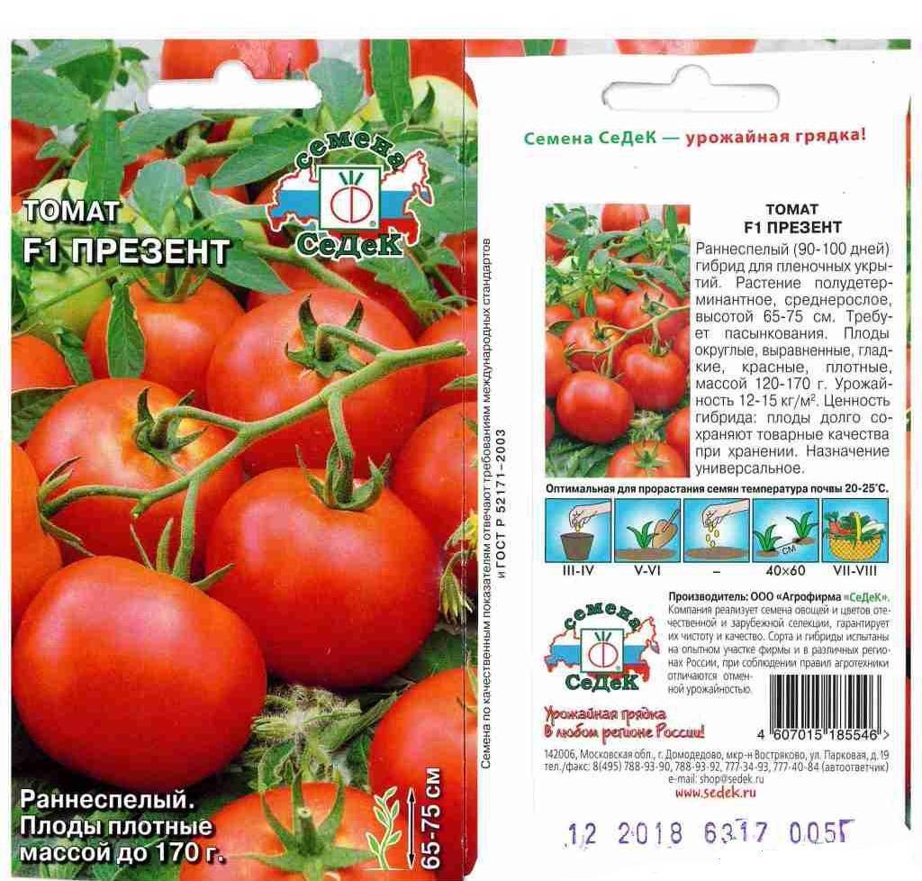 Описание лучших сортов томатов для теплиц в Кировской области