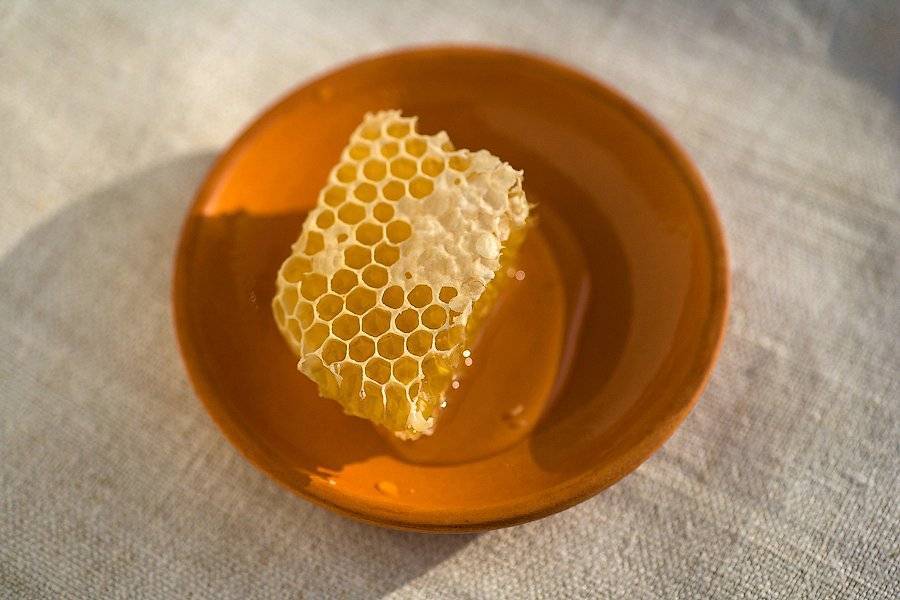 Мед в сотах, польза и вред. пчелиные соты