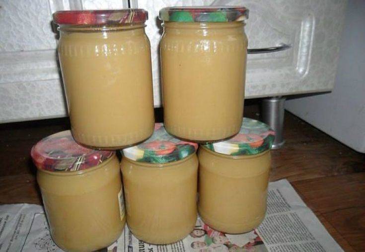 Пюре из яблок «неженка» на зиму пошаговый рецепт быстро и просто от марины данько