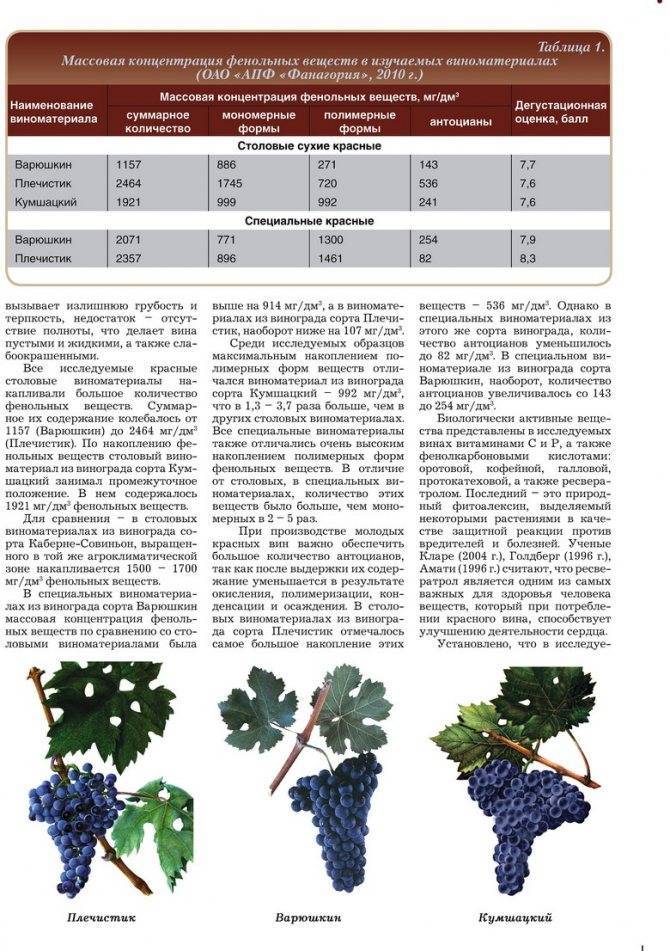 Виноград тайфи (белый и розовый): описание сорта, особенности выращивания, фото и отзывы