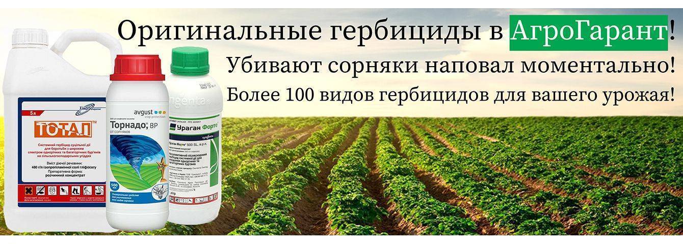 10 лучших средств от сорняков и травы, топ-10 рейтинг гербицидов