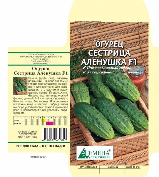 Огурцы сорта стелла