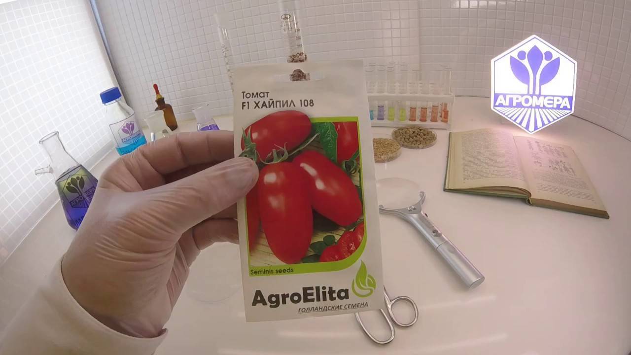 Семена томат хайпил-108 f1: описание сорта, фото. купить с доставкой или почтой россии.