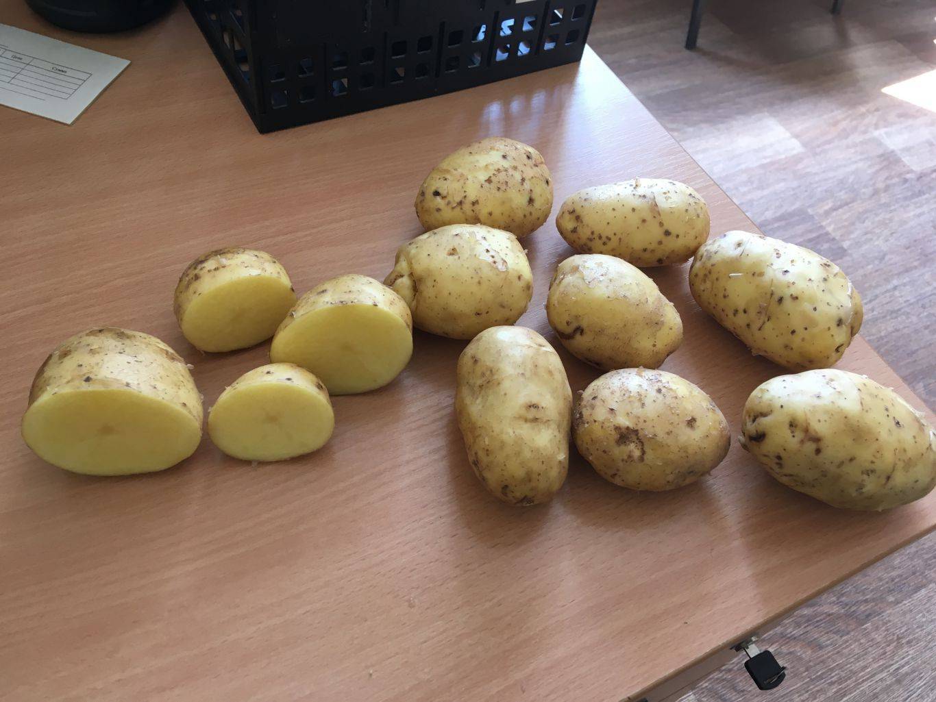 Картофель бриз: описание сорта, выращивание, отзывы