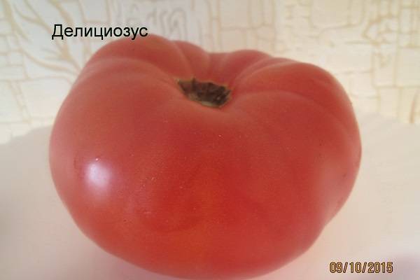 Индетерминантные и детерминантные сорта томатов: отличие, что это значит?