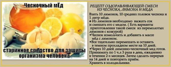 Мед, чеснок и лимон для очистки сосудов