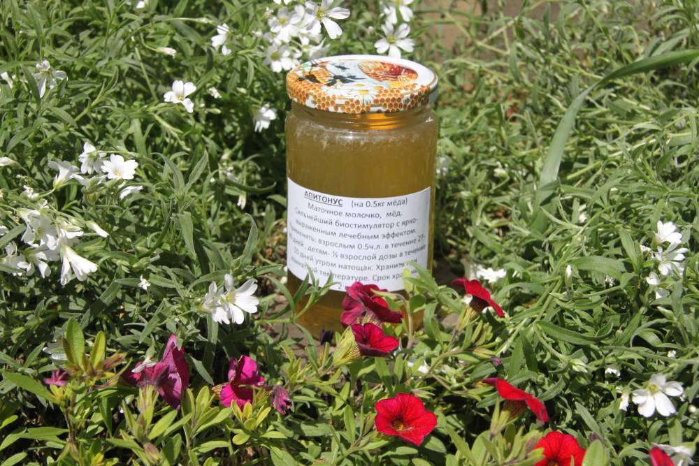 Мёд апитонус: полезные и лечебные свойства, особенности применения