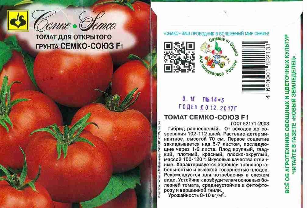 Лучшие сорта кистевых томатов для теплиц и открытого грунта. описание лучших сортов кистевых томатов и правила выращивания