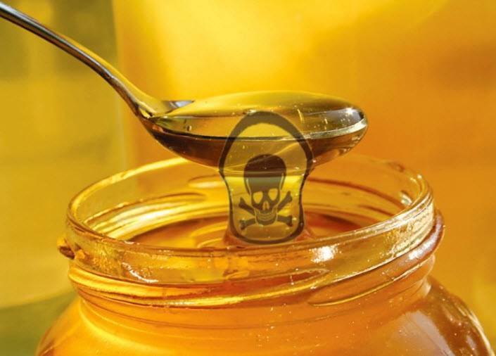 Вред меда для организма: негативное влияние вредного меда