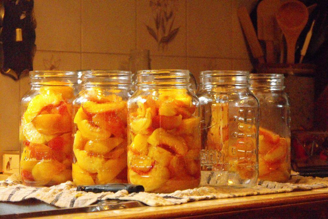 Персики на зиму: 18 рецептов заготовок » сусеки