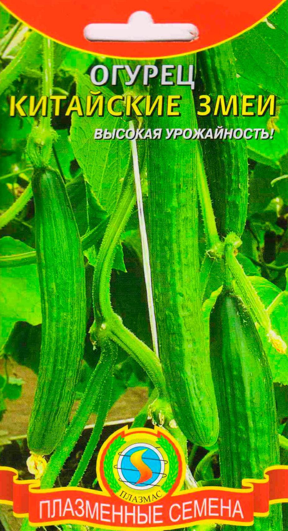 Огурцы Змея Фото