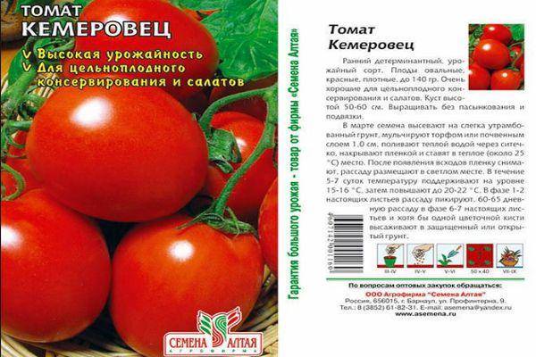 Фото, отзывы, описание, характеристика, урожайность сорта помидора «аленка».