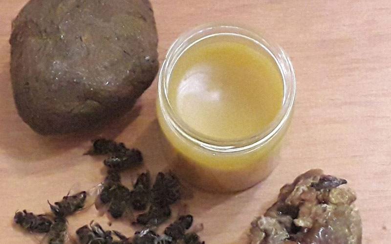 Подмор пчелиный для суставов: рецепты настоек и мазей, как принимать