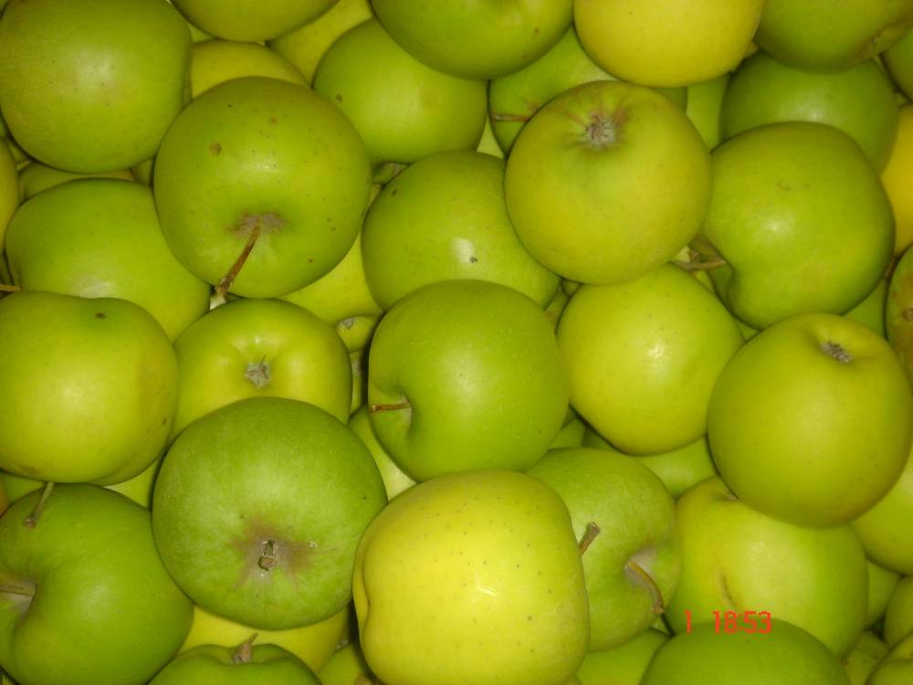 Райские яблони: полезные свойства плодов, описание популярных видов и сортов, правила посадки и ухода, сбор и хранение урожая, рецепты блюд
