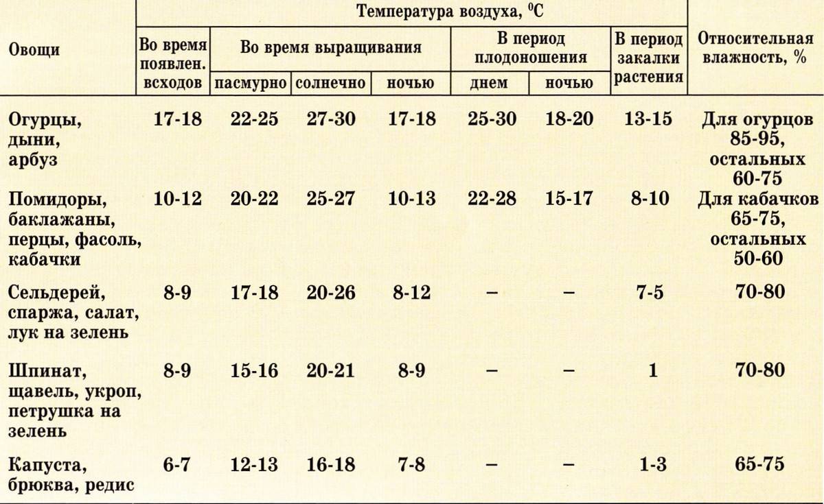 Как выращивать помидоры в теплице зимой: пошаговая инструкция для получения богатого урожая круглый год