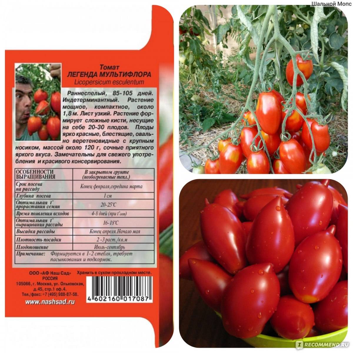 Описание сердцевидного томата чудо уолфорда и особенности выращивания
