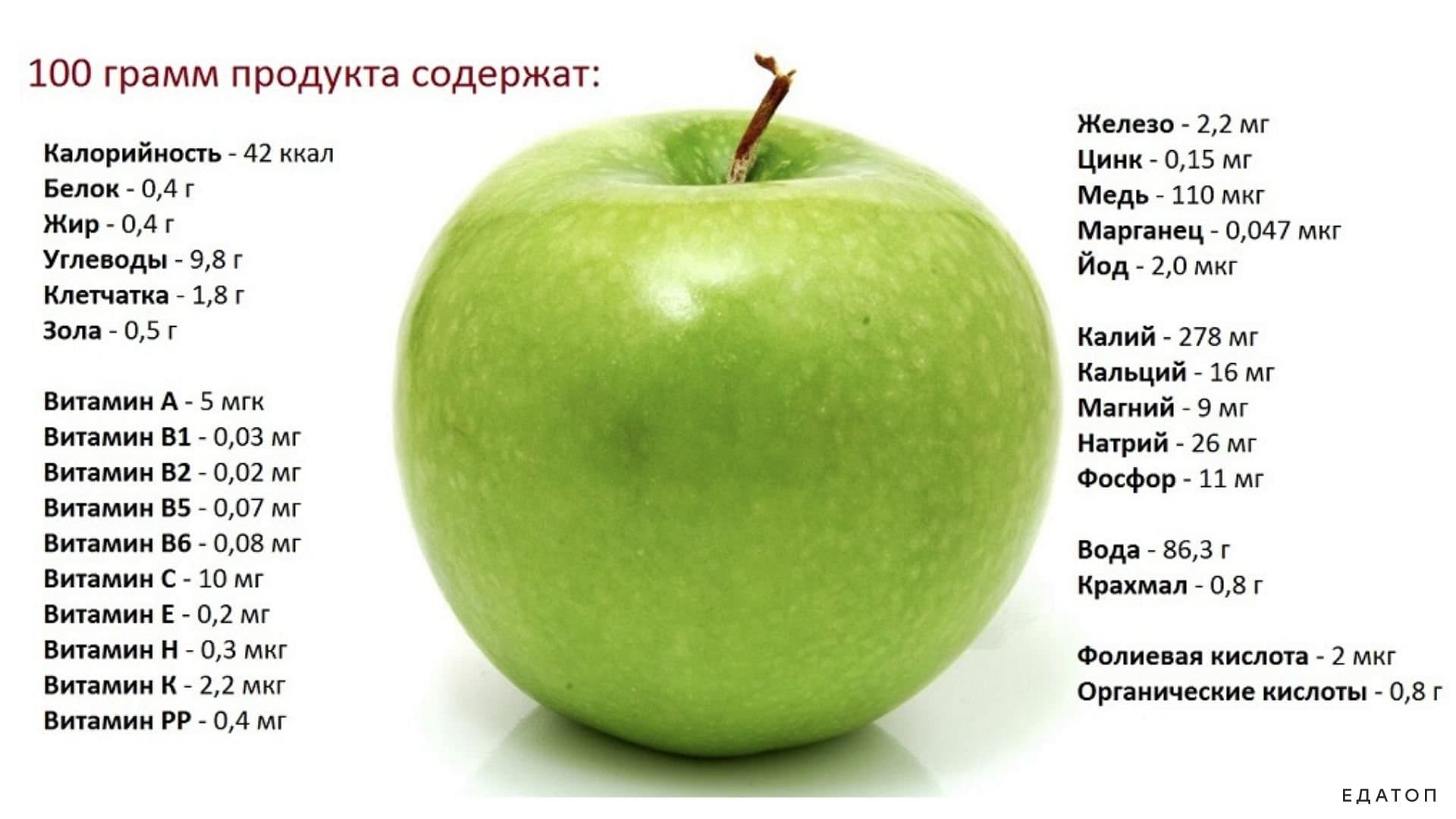 Польза и вред яблок- состав, пищевая и энергетическая ценность