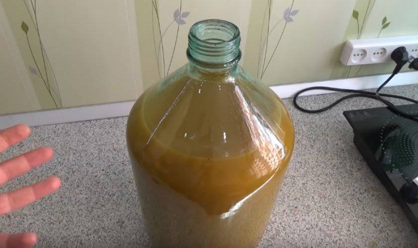 Медовуха из сотового меда в домашних условиях: рецепт, советы