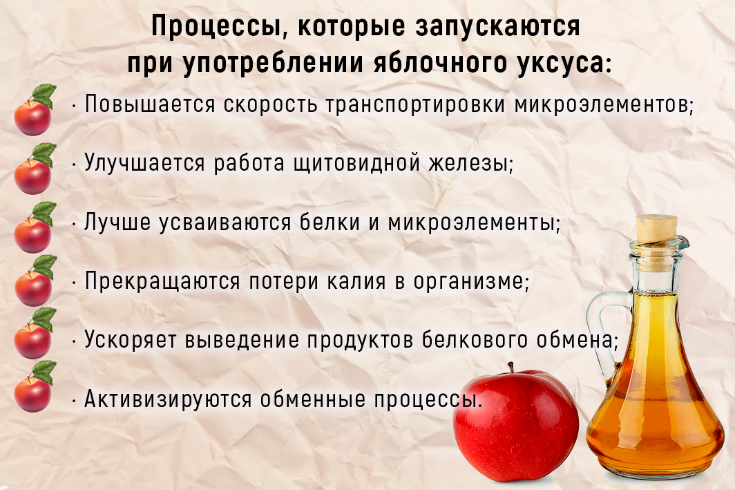 Мед и яблочный уксус: польза и вред, рецепты приготовления и правила приема