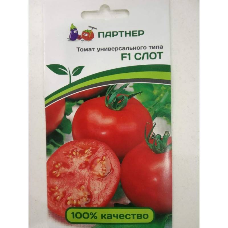 ᐉ томат "слот f1": особенности, урожайность и описание сорта - orensad198.ru