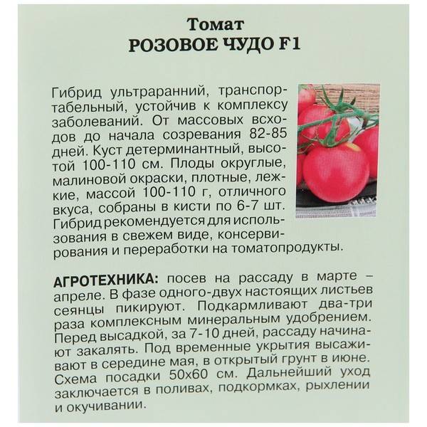 Описание сорта томата Розовое чудо, особенности выращивания и ухода