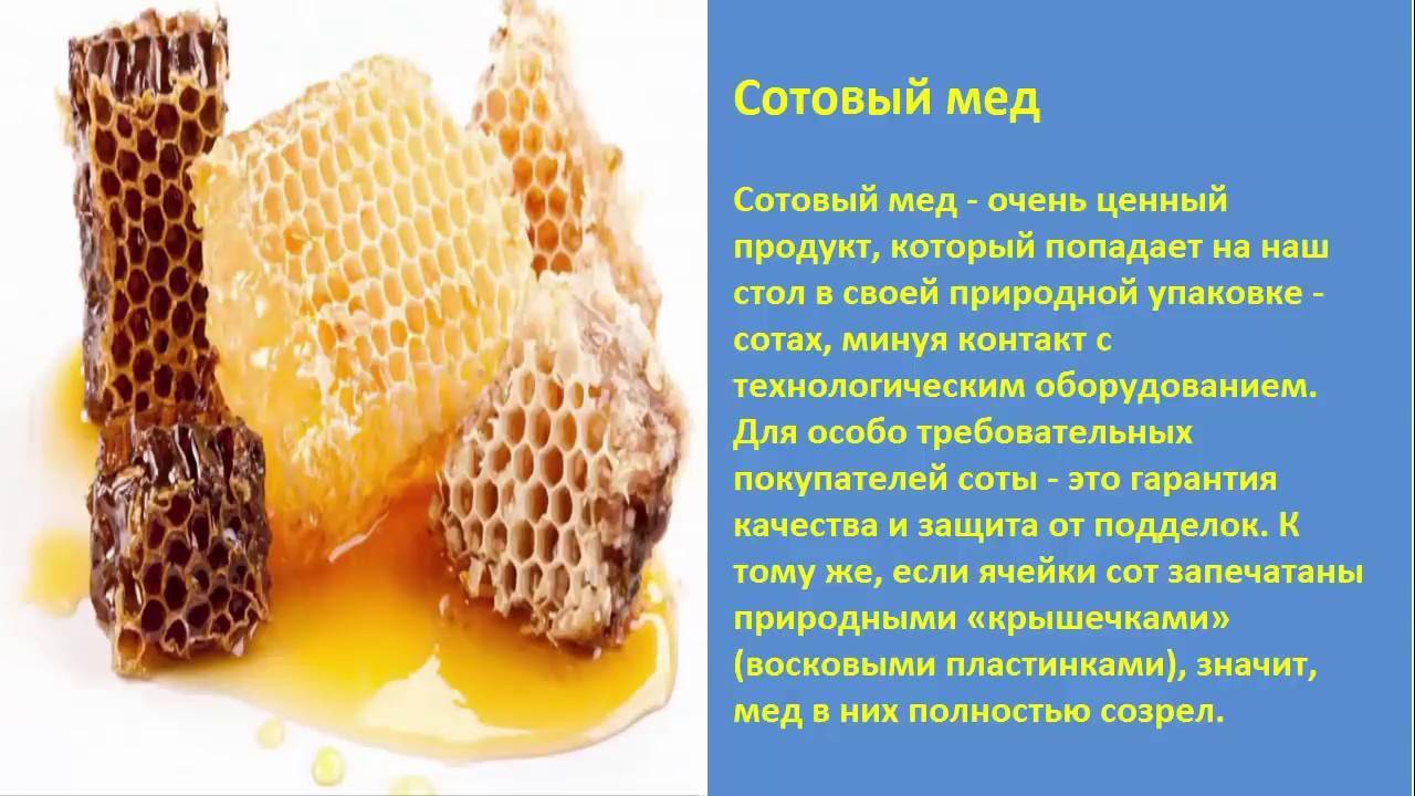 Сорта меда и их лечебные свойства