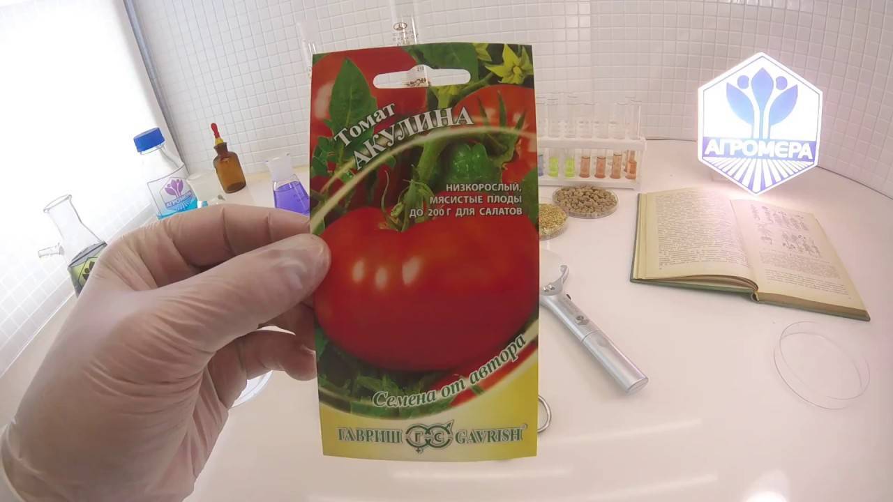 Описание раннеспелого и урожайного томата уникальный кульчицкого