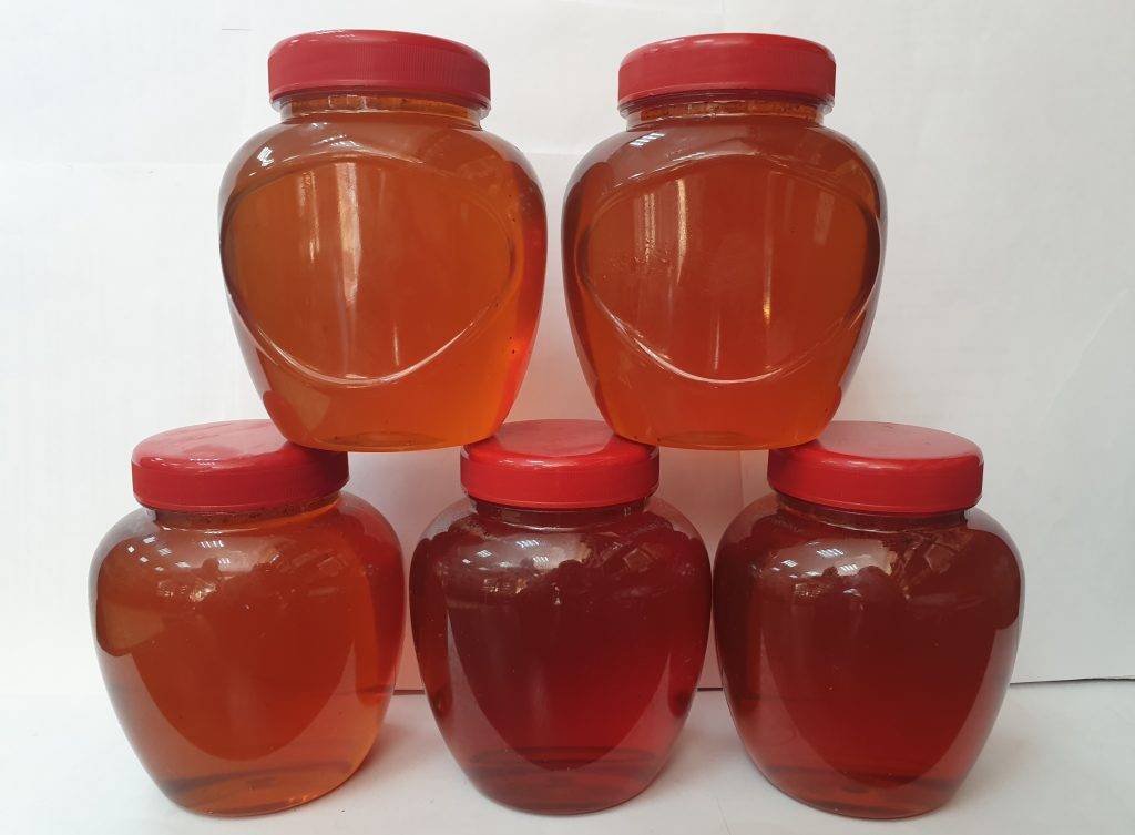 Эвкалиптовый мед и его полезные свойства