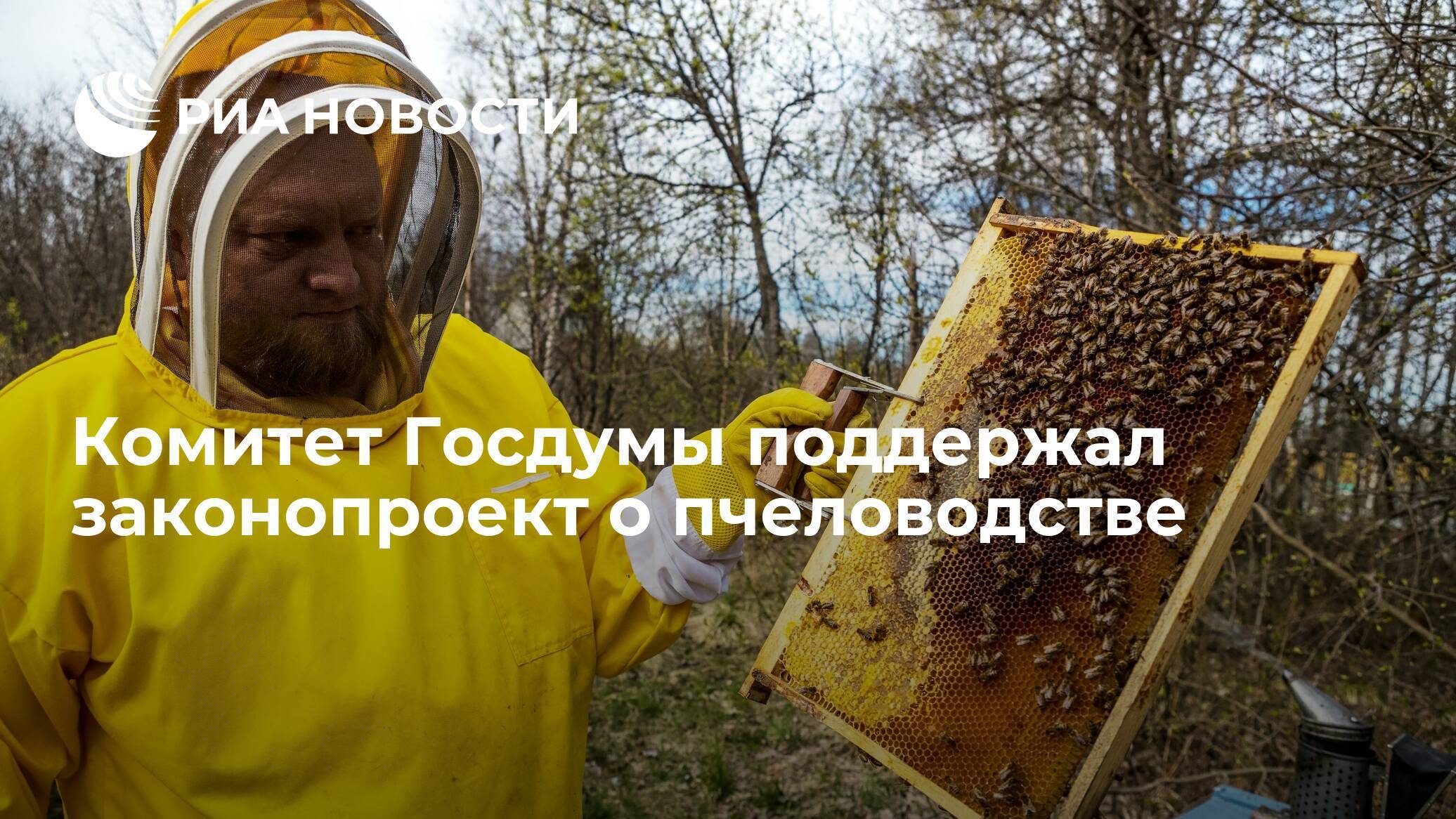 Проект закона о пчеловодстве в россии (2020 г.)