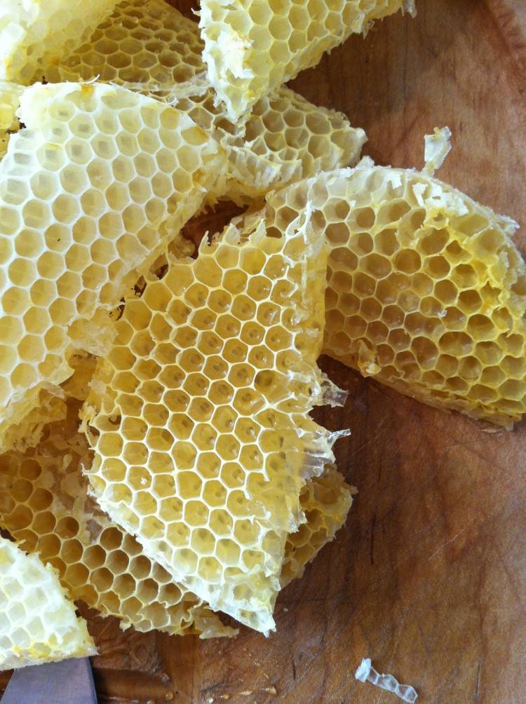 Как пчелы делают соты и обустраивают улей: видео, как выглядят соты, из чего строят