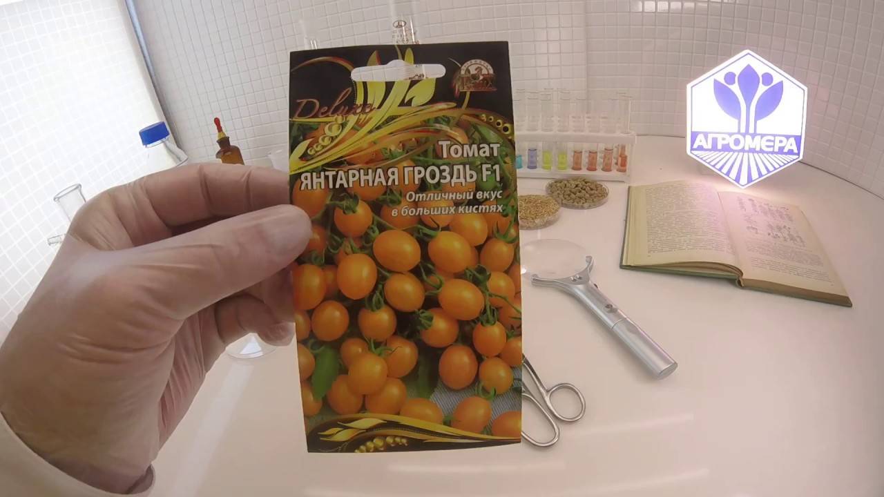 Янтарная кислота для помидор и огурцов: советы по применению – дачные дела