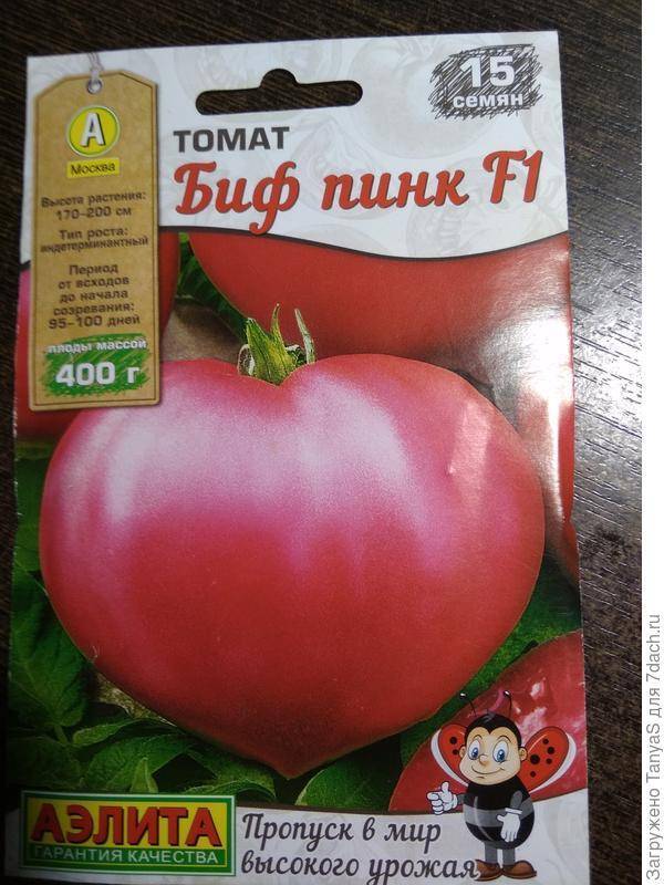 Лучшие сорта биф-томатов