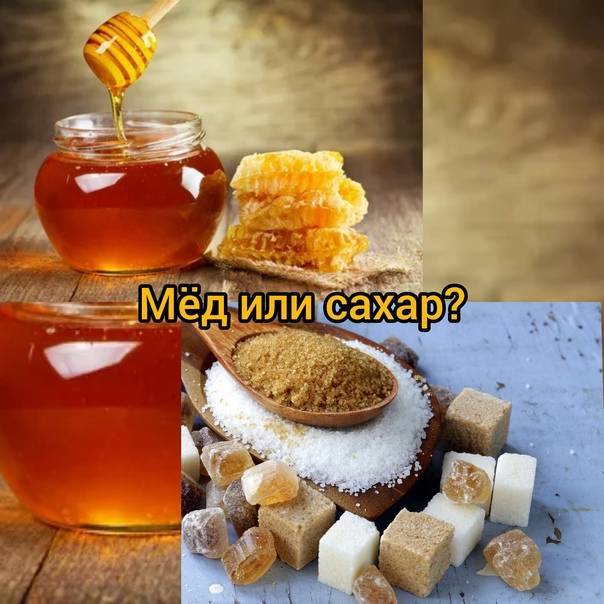 Что полезнее: мед или сахар
