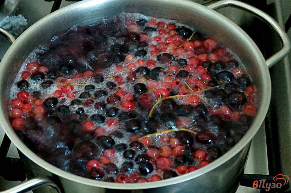 Морс из замороженной черной смородины: рецепты напитков с добавлением яблок и цитрусовых, как их приготовить и в какой посуде, можно ли сделать из них варенье