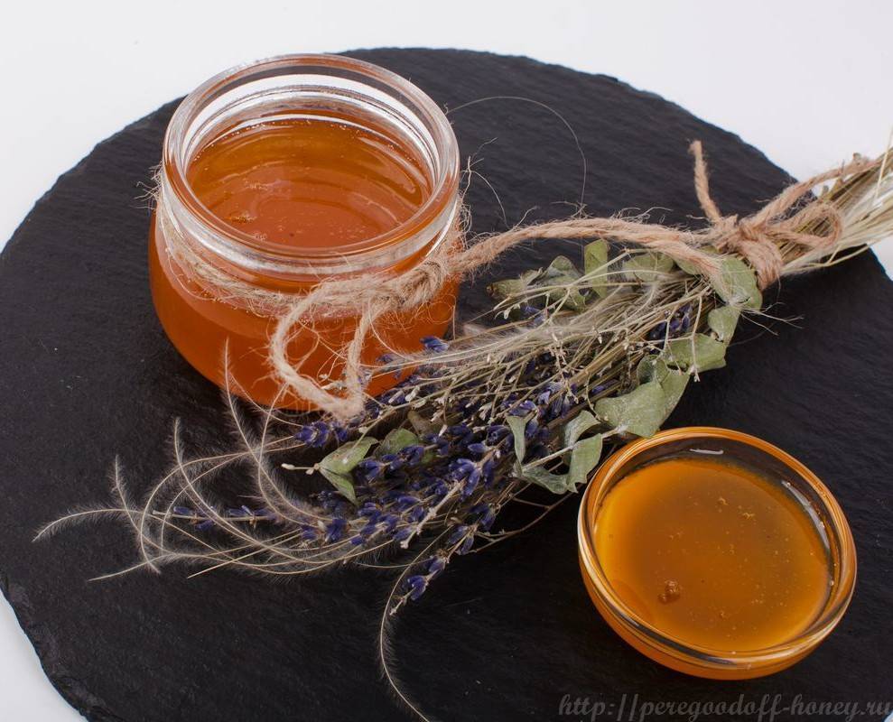 Дягилевый мед: полезные свойства, противопоказания и применение