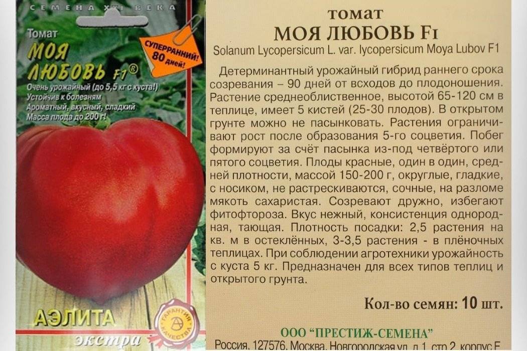 Лучшие сорта томатов по отзывам на 2022 год