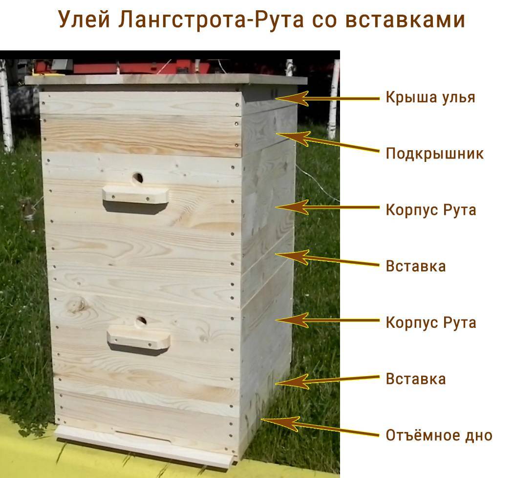 Делаем улей для пчёл своими руками: чертежи и размеры, схемы, фото и видео