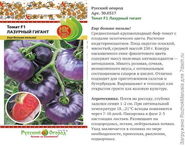 Характеристика и описание томата биф, что это за сорт, его урожайность