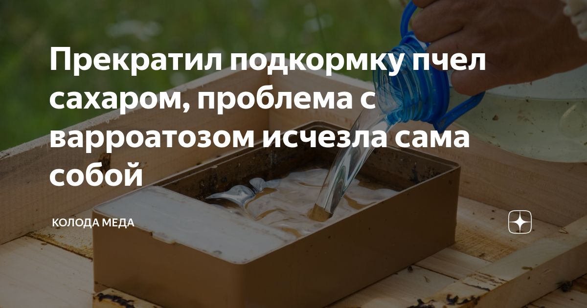 Как приготовить сироп для пчел осенью. Зимняя подкормка для пчел из сахара. Пропорции сиропа для подкормки пчел весной. Подкормка пчел зимой. Подкормка пчел зимой медом в пакетах.