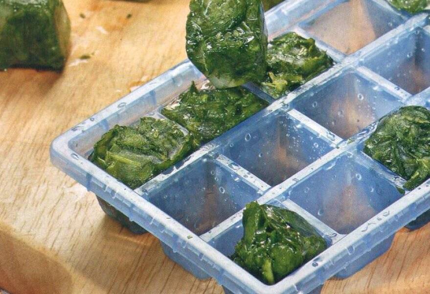 Как заморозить шпинат на зиму в домашних условиях: 6 способов заморозки » сусеки