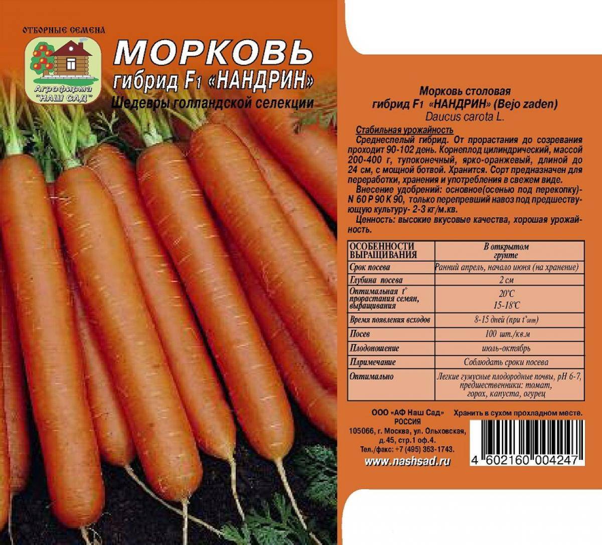 Морковь абако f1: описание сорта, технология выращивания, посадка и уход, повышение урожайности, сбор и хранение плодов, отзывы
