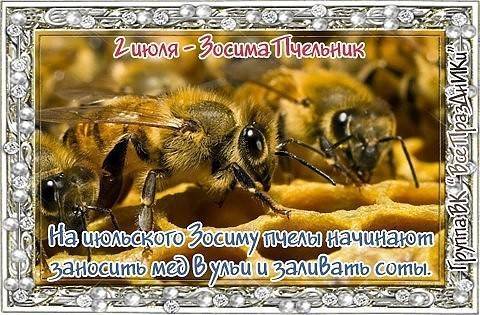 Народные пчелиные приметы