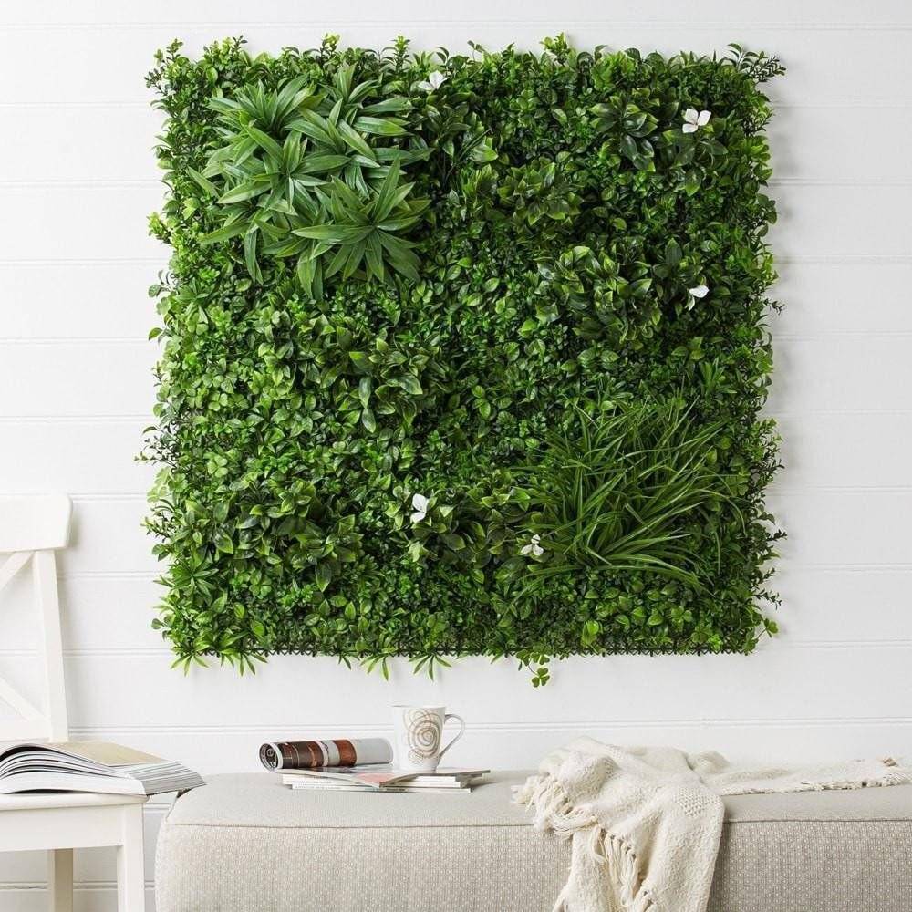 Как создать живую зеленую стену из растений в саду или квартире: советы