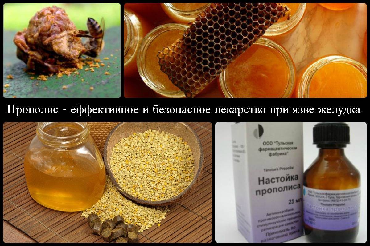 Лечение желудка и кишечника медом: рецепты полезных средств