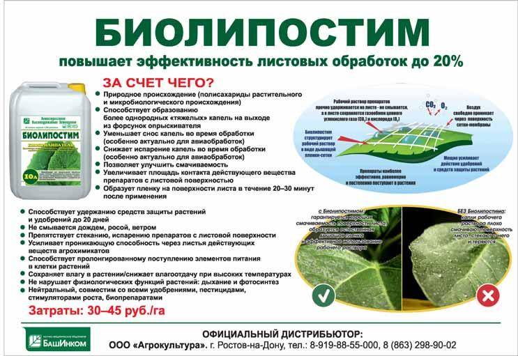 Гербицид граунд: эффективное средство  от сорняков, инструкция по применению и отзывы фермеров