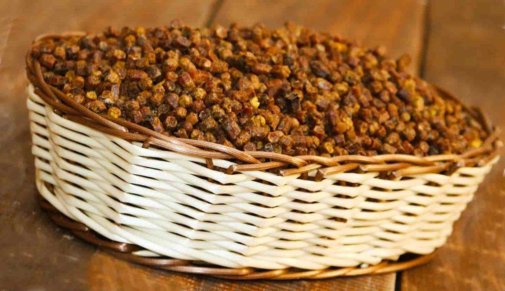 Как хранить пчелиную пергу в домашних условиях: полезные свойства, как принимать, как и при какой температуре сушить