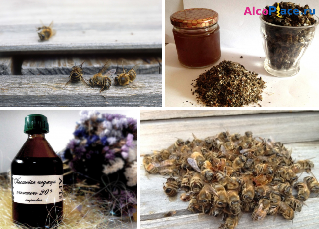 Пчелиный подмор: польза и вред, как принимать, лечебные свойства